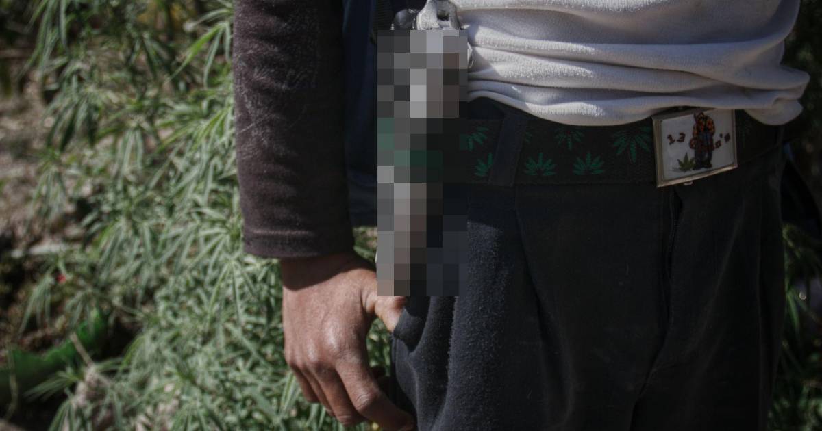 Jóvenes, entre la violencia y la ausencia de humanismo