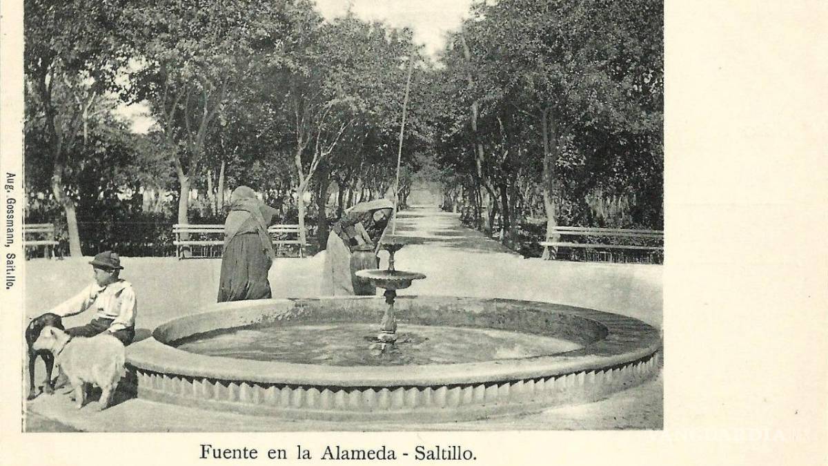 Una mirada extranjera de Saltillo a través de viejas tarjetas postales