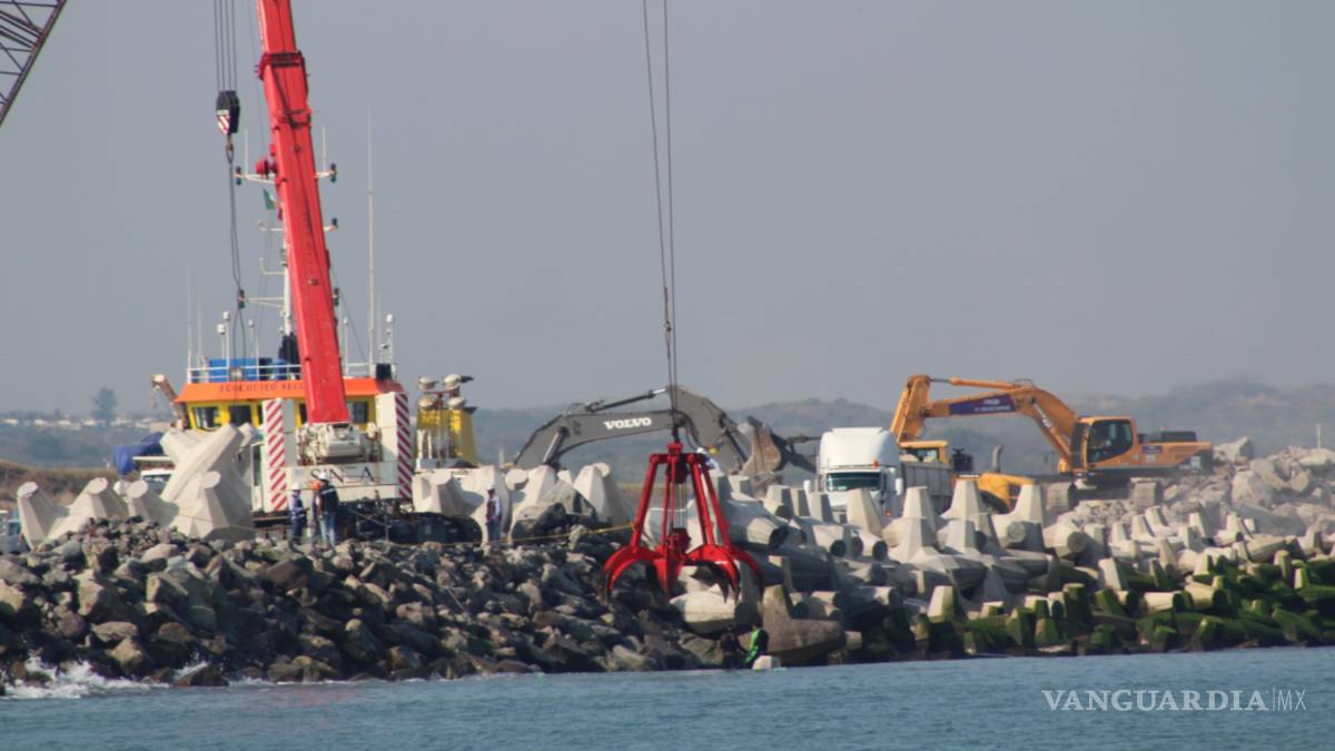 Organizaciones ambientalistas denuncian ecocidio en arrecife por ampliación del puerto de Veracruz