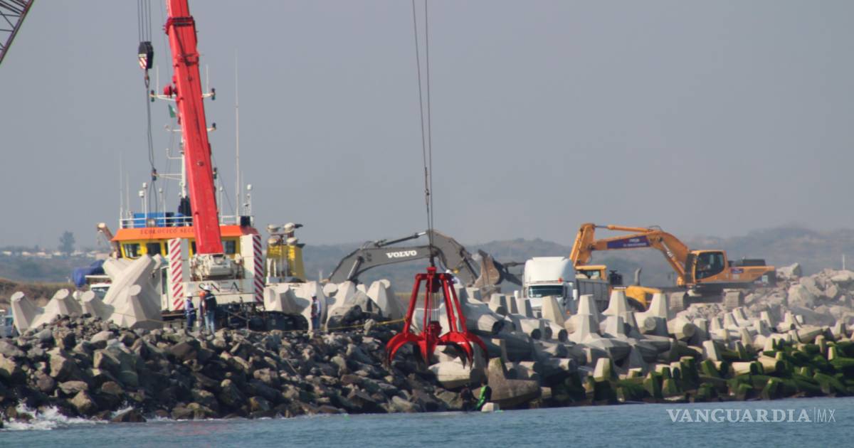 Organizaciones ambientalistas denuncian ecocidio en arrecife por ampliación del puerto de Veracruz