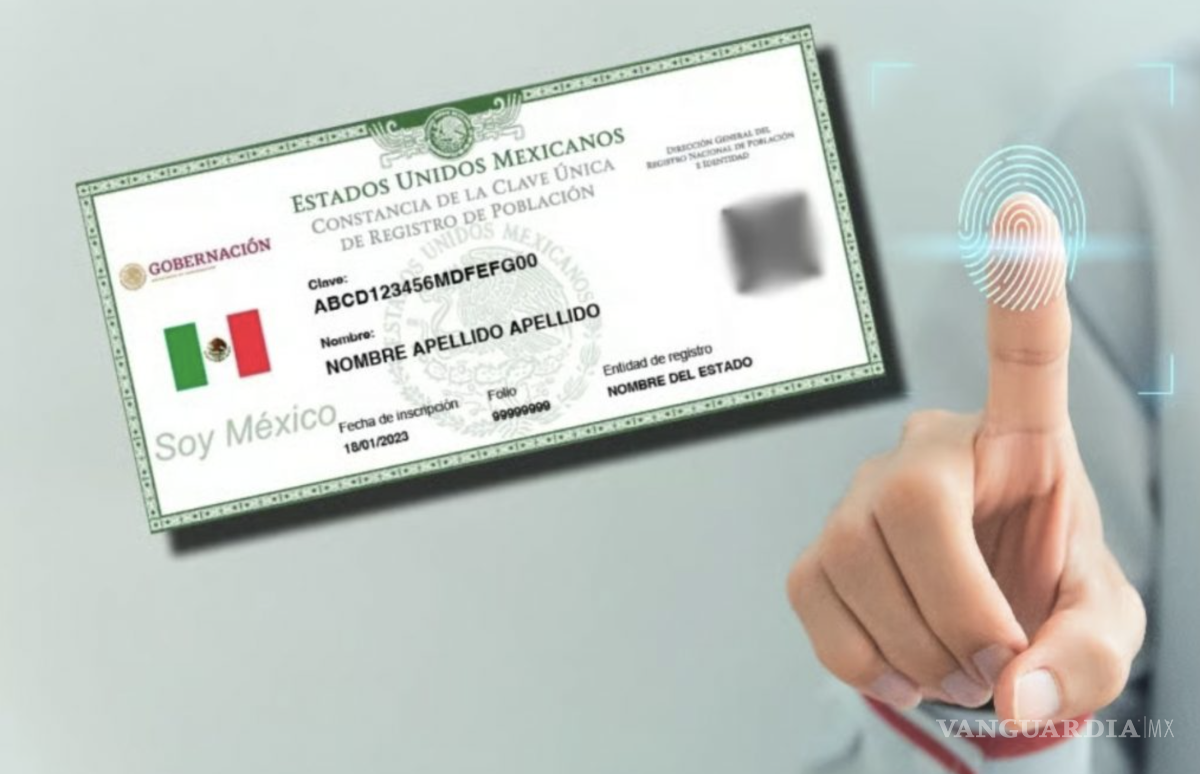 $!La diferencia principal radica en la naturaleza de los datos almacenados y el nivel de seguridad.