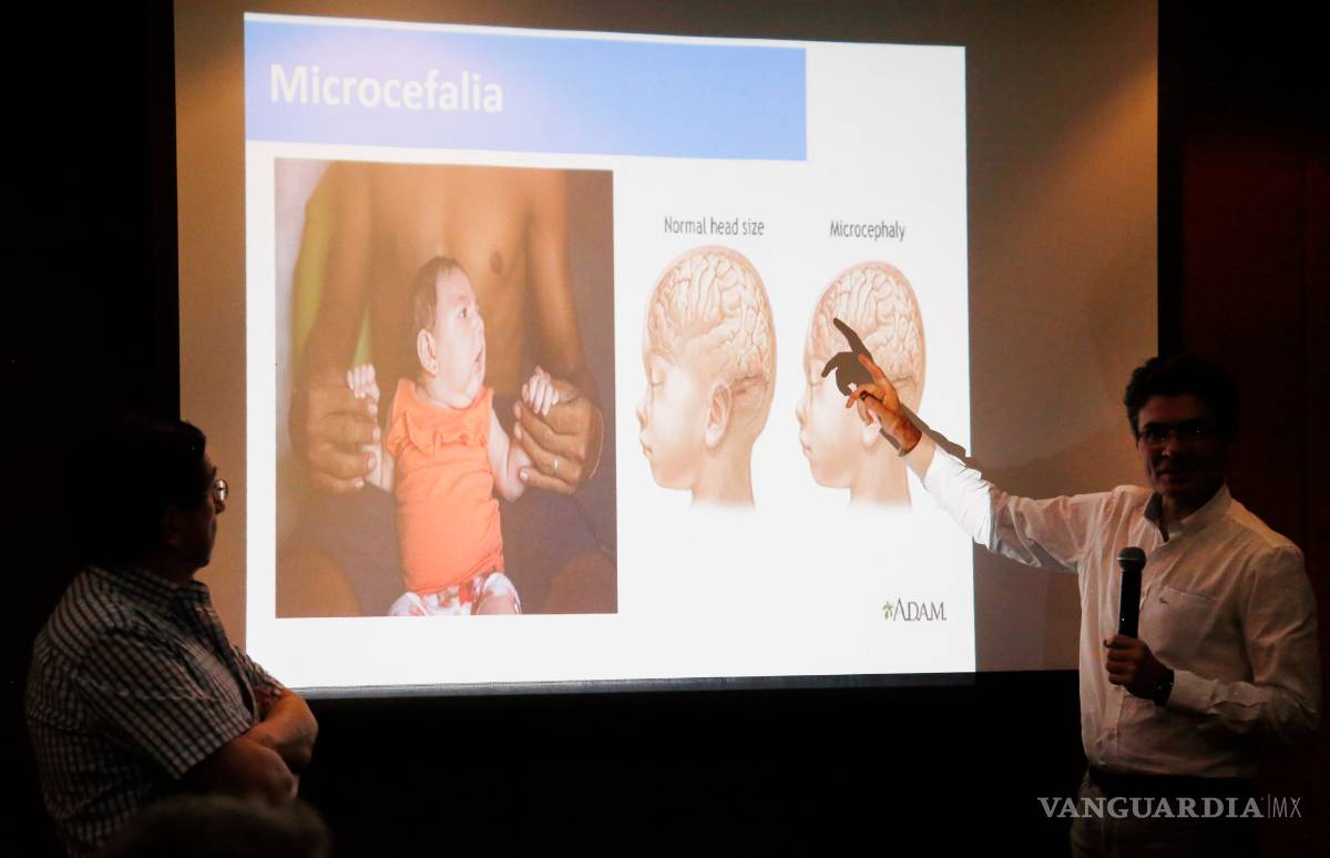 $!El virus Zika se expande por América muy deprisa y México aún no ha dado la alerta