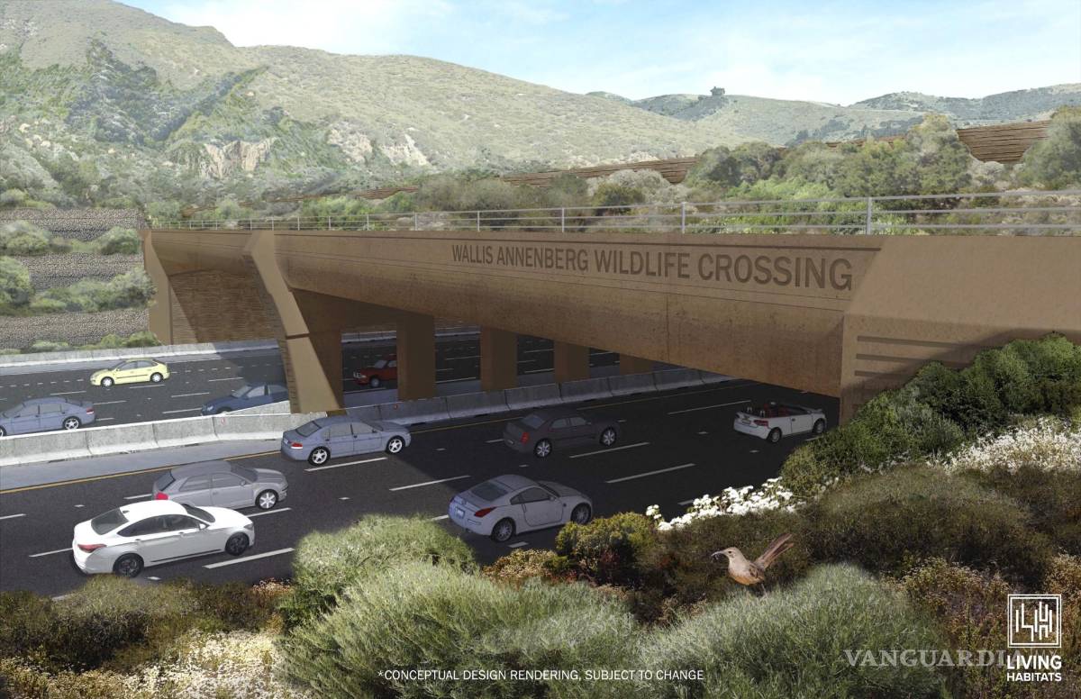$!Diseño conceptual de cómo será el Puente Para la Vida Silvestre Wallis Annenberg en California.