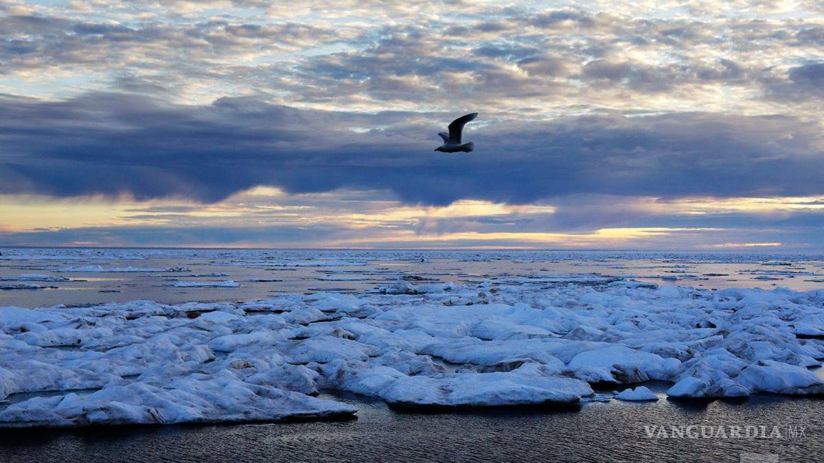Tu jugo del día: ¿El coronavirus llegó a México?
