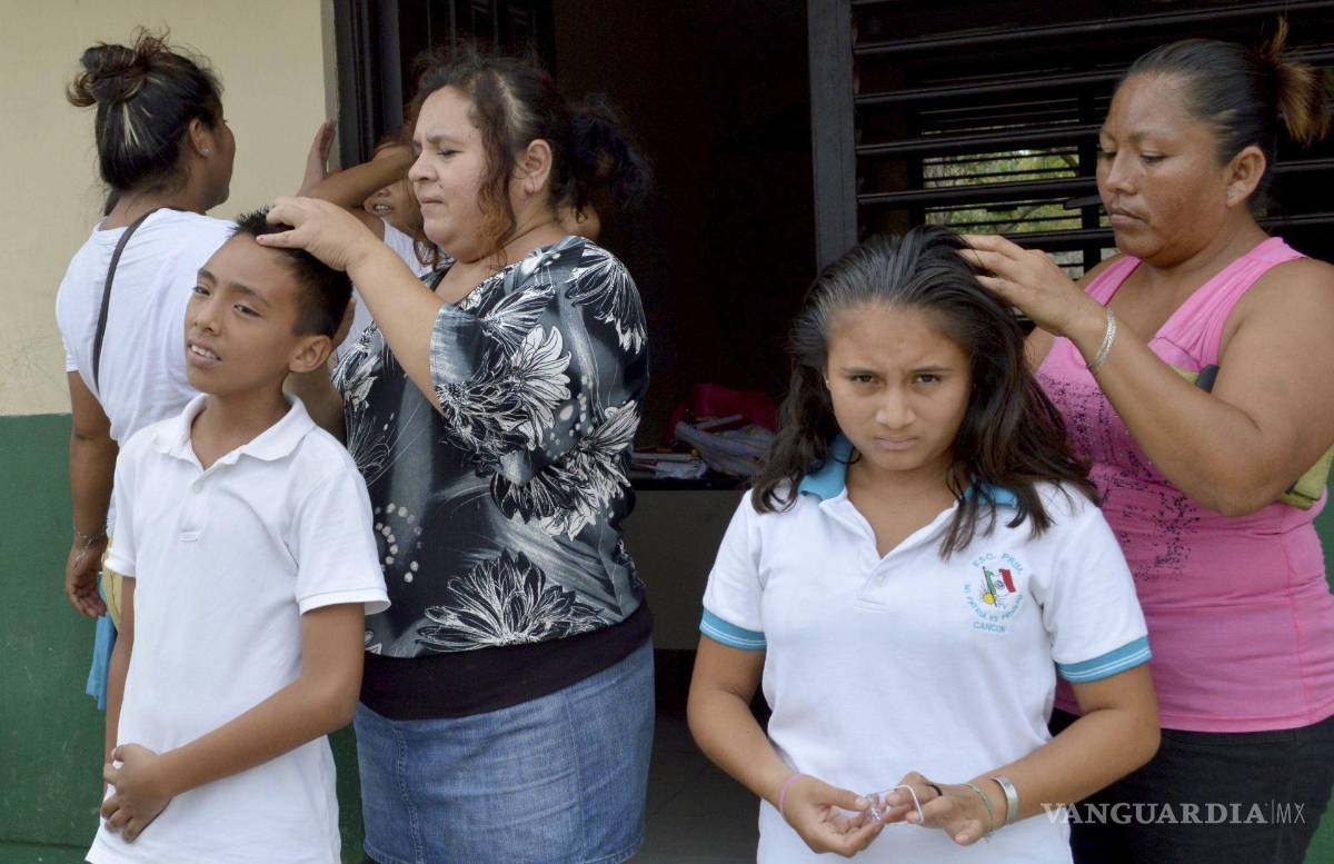 $!Las cremas y los champús no pueden matar los huevos, por lo que su hijo seguirá teniendo liendres entre tratamientos.