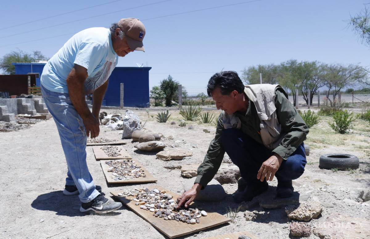 $!El aficionado Carmino García y el paleoescultor Ignacio Vallejo examinan los hallazgos en el solar de la casa de Carmino: amonites fosilizados, caracoles y rocas extrañas ha recolectado en muchos años.