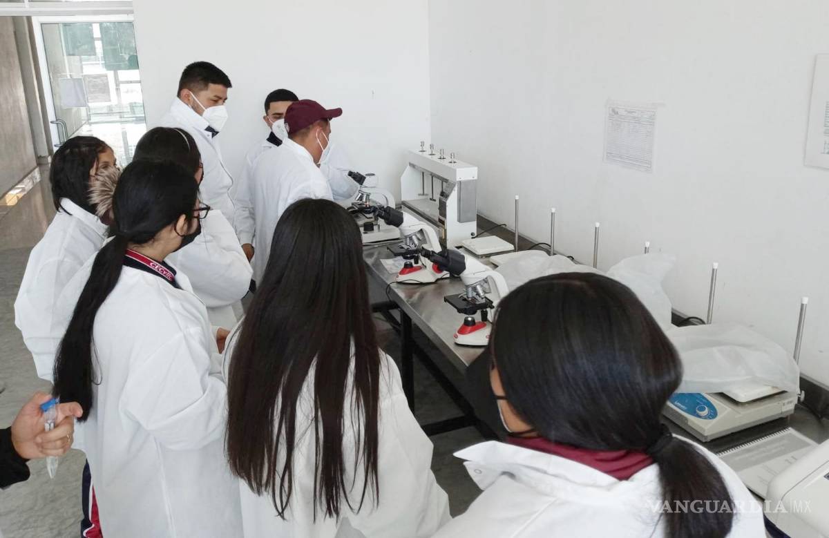 $!La Red de Divulgación Científica del Norte organiza talleres para acercar a niños y jóvenes a la ciencia. En algunos recibe a niños de hasta 2 años.