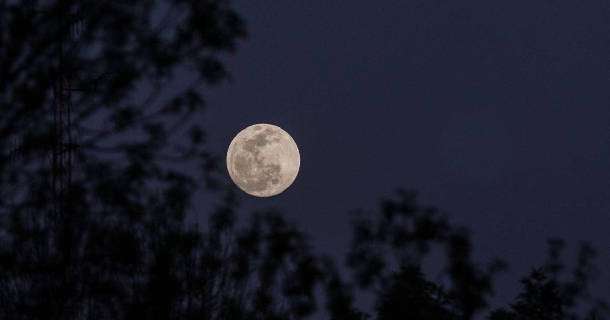 Calendario astronómico de diciembre 2025: Luna Fría y Solsticio de invierno