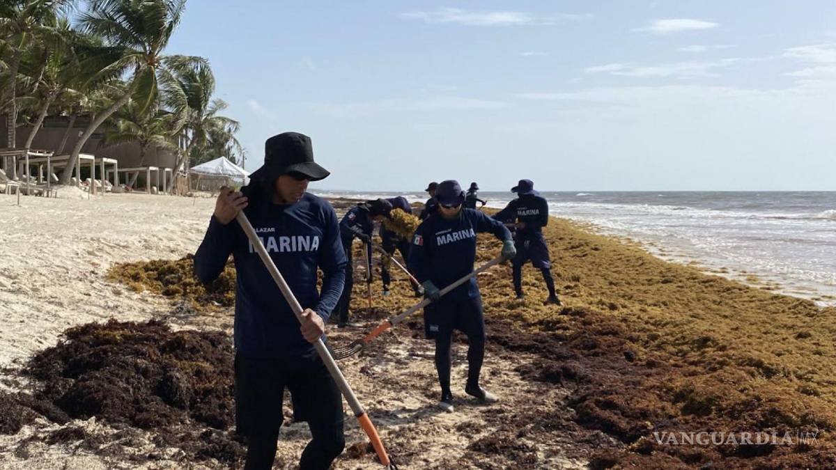 Japón y México se unen contra el sargazo: Anuncian seminario en Cancún y Playa del Carmen