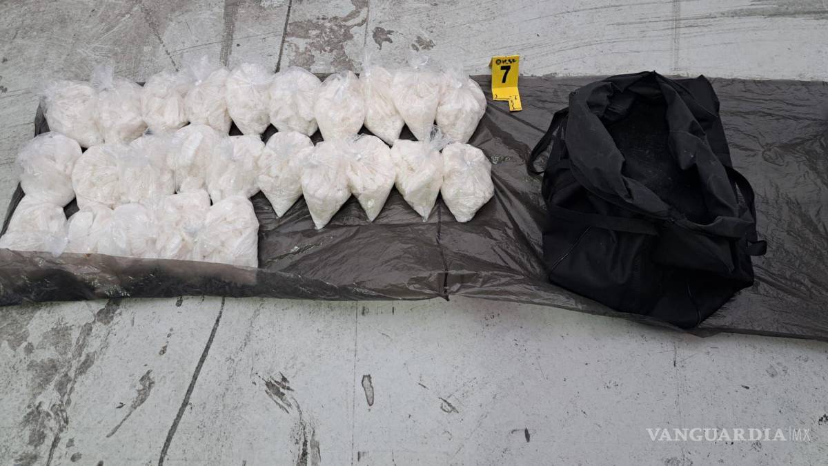 Decomisan más de 100 kilos de droga en centro de Monterrey; su valor superaría los 13 MDP