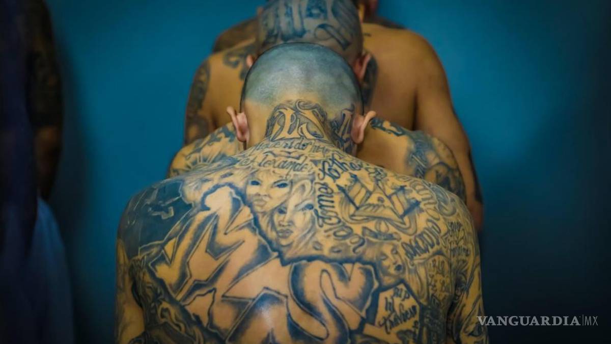 Así fue el traslado de 2 mil pandilleros al Centro de Confinamiento del Terrorismo en el Salvador