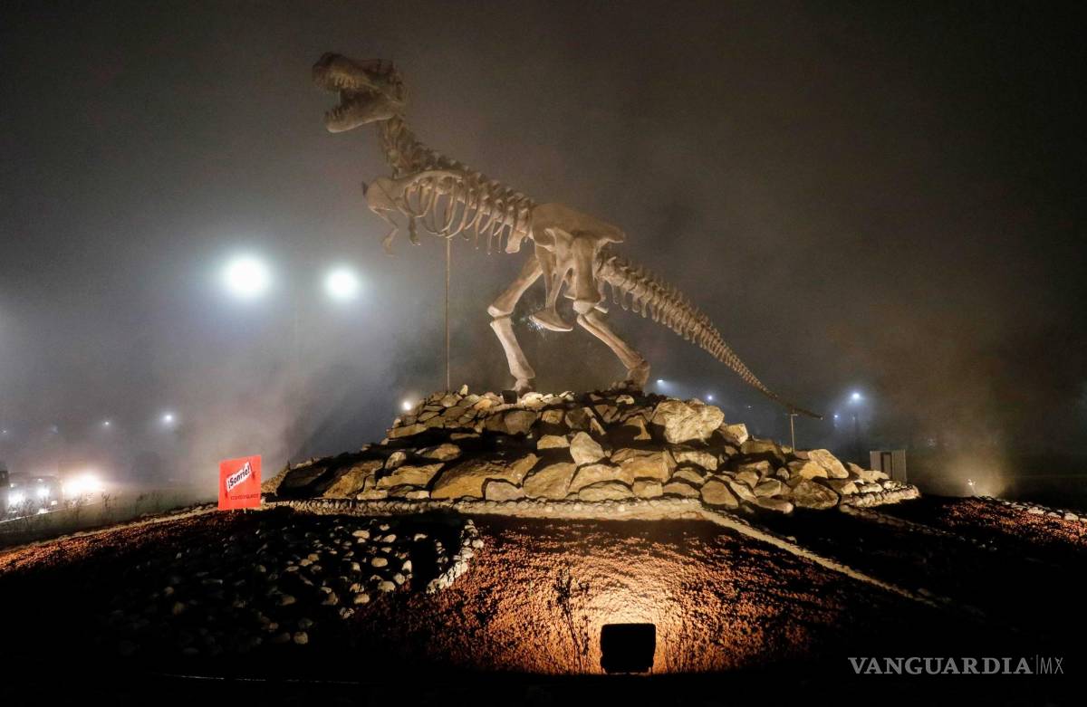 $!El tiranosaurio rex que custodiaba la entrada del Museo del Desierto, ahora se encuentra en una glorieta en el cruce del periférico Luis Echeverría y prolongación Pérez Treviño, como parte de la estrategia de la ruta “Vinos y Dinos”.