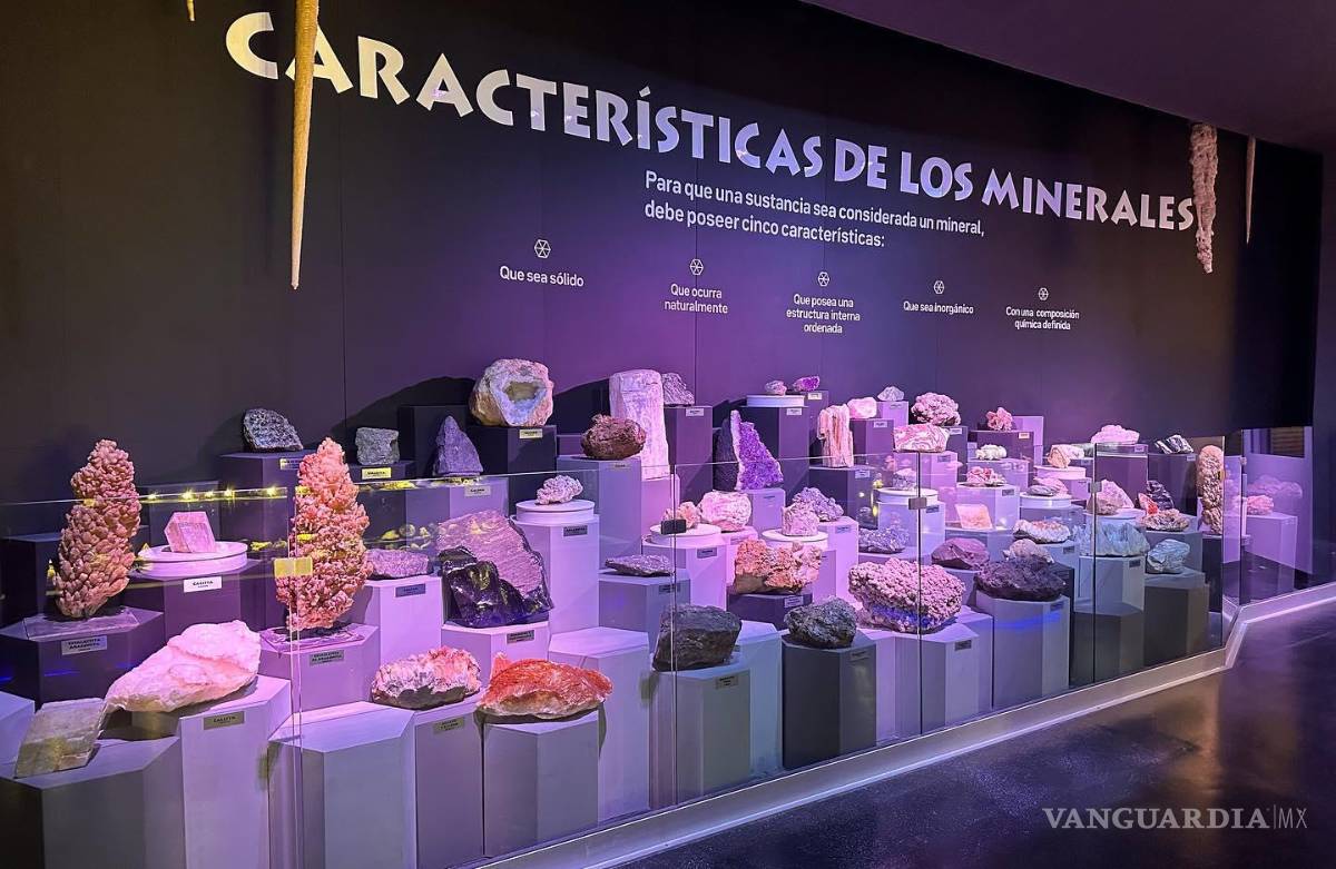 $!Todos tendrán la oportunidad de observar y apreciar a través de un microscopio electrónico diferentes muestras, como fósiles y hasta minerales.