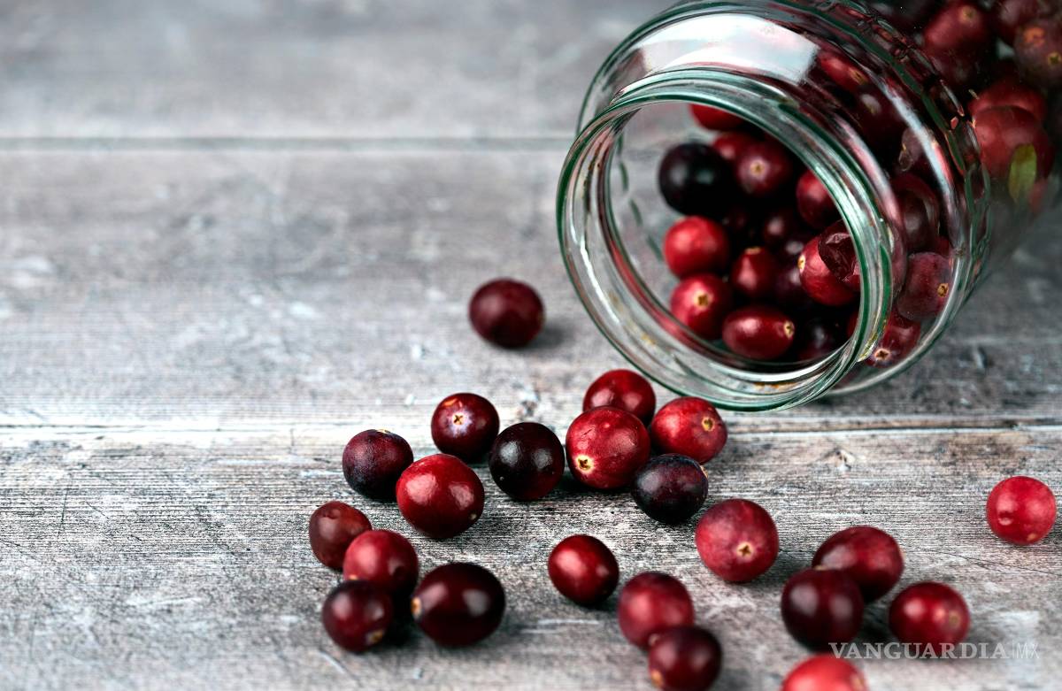 $!Los arándanos rojos contienen unos compuestos naturales llamados proantocianidinas que tienen propiedades antioxidantes, antiinflamatorias y antimicrobianas.