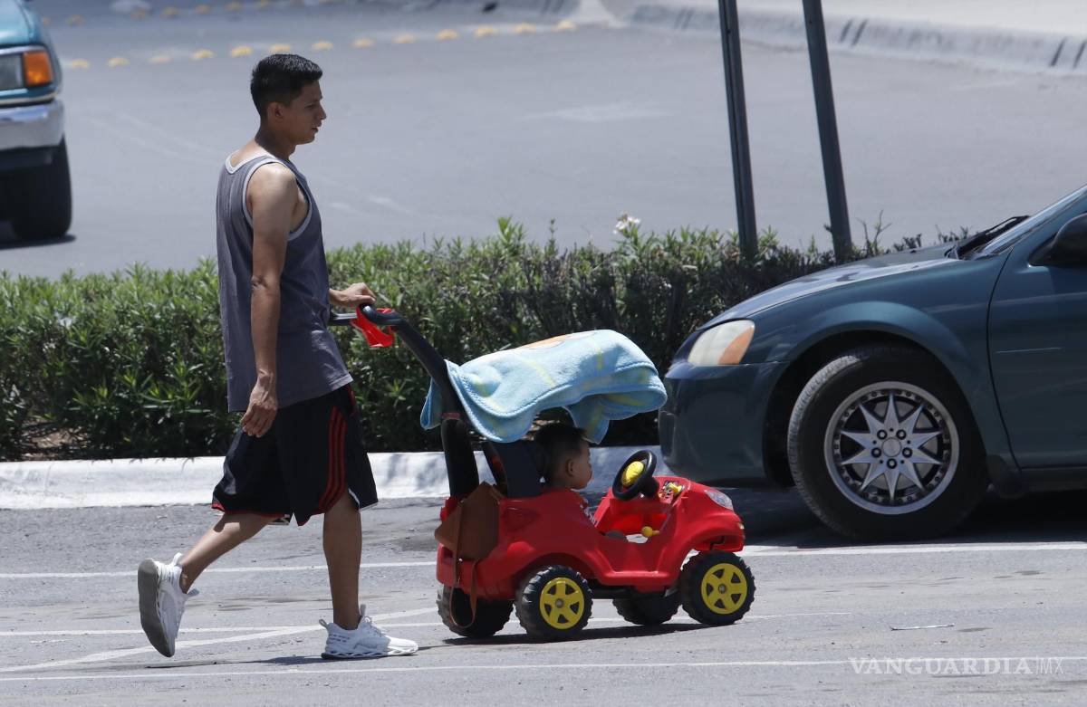 $!La propuesta de los especialistas es promover la educación en materia de cambio climático para los menores.