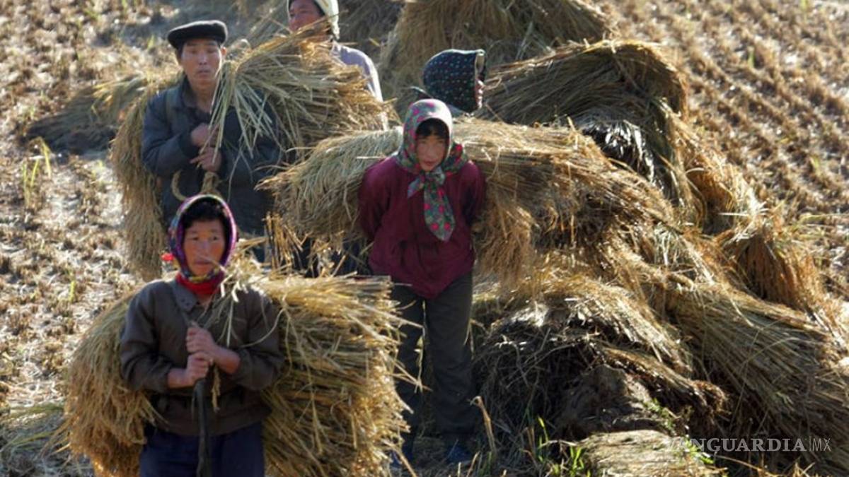 ONU pide llevar ante corte internacional crímenes de Norcorea