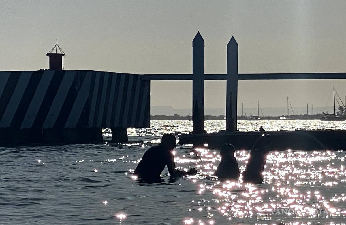 $!El experto en mecánica automotriz, Andrés Mata (i), y el prestador de servicios turísticos, Jairo Westle, utilizan una silla de ruedas anfibia en La Paz (México).