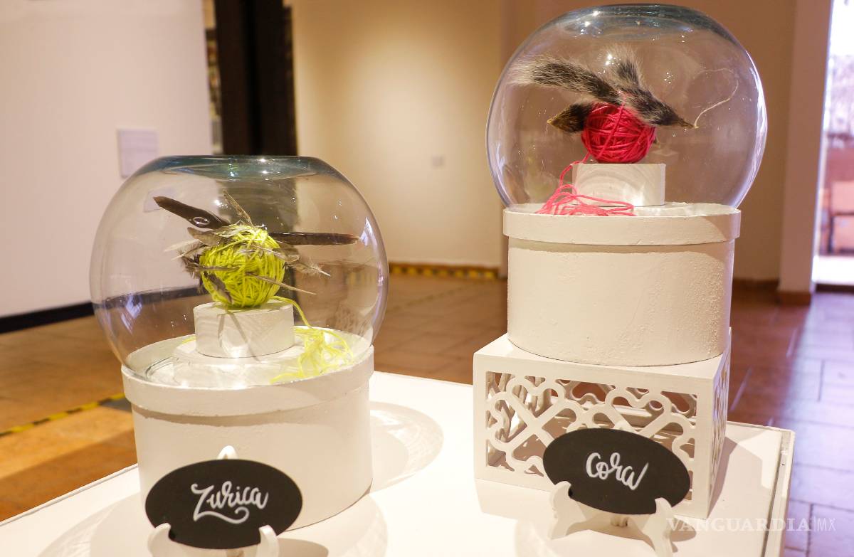 $!Exponen las acumulaciones de recuerdos en 'Objeto Animal'