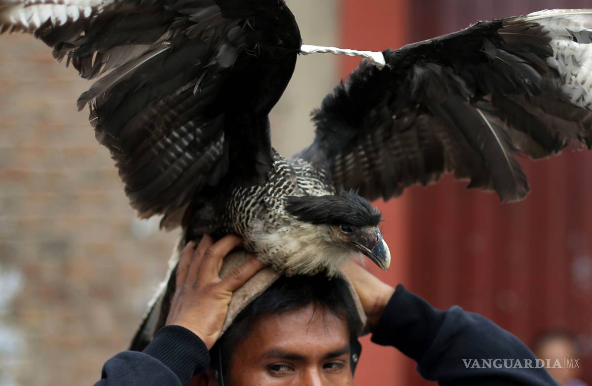 $!El Takanakuy, el rito peruano de golpearse entre sí
