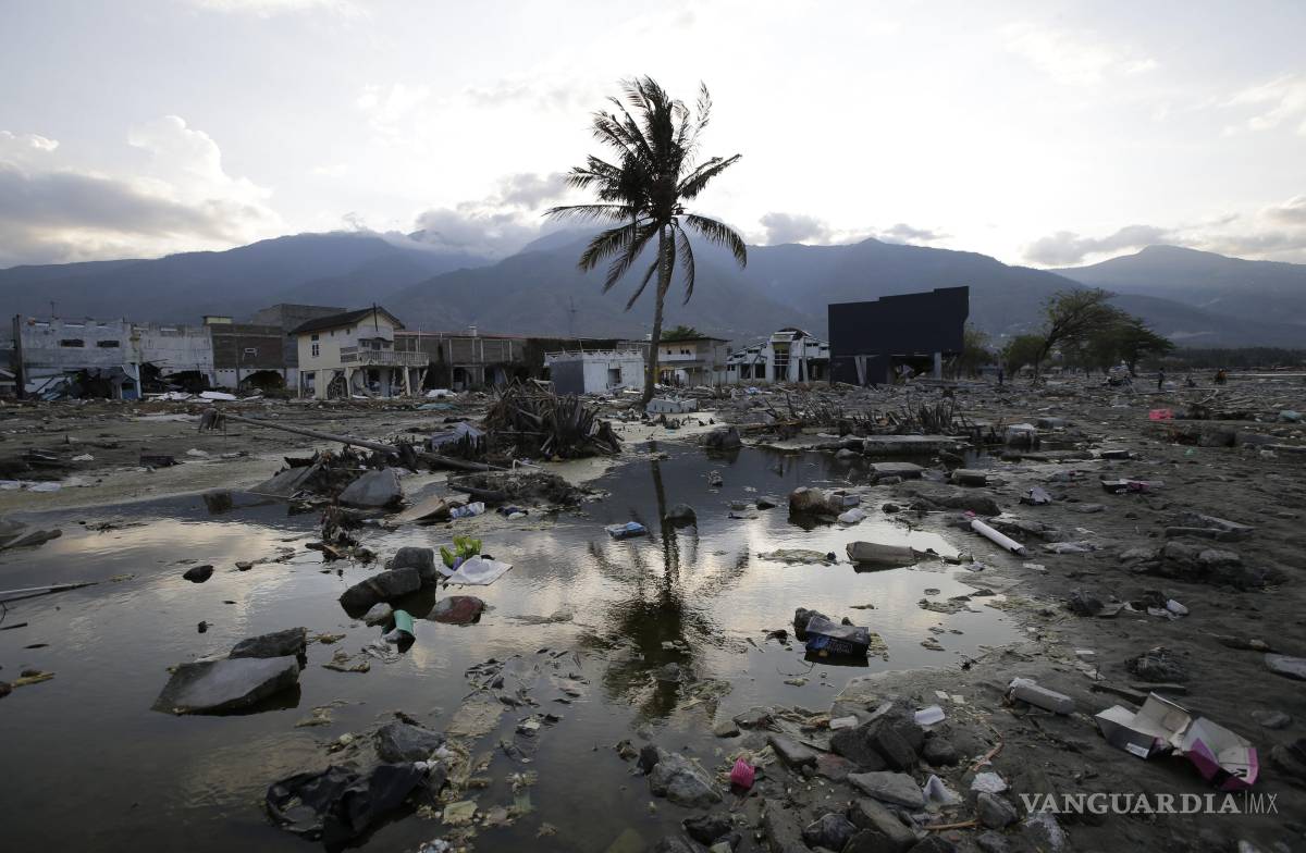 $!Un árbol solitario se encuentra entre los escombros de las estructuras que fueron destruidas después de que un gran terremoto y tsunami azotaran Palu, Sulawesi Central, Indonesia, el jueves 4 de octubre de 2018.