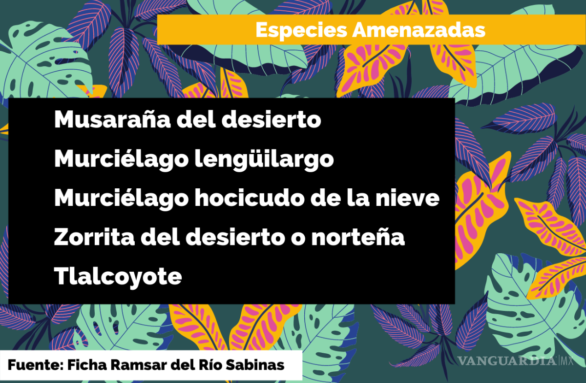 $!Agoniza el Río Sabinas