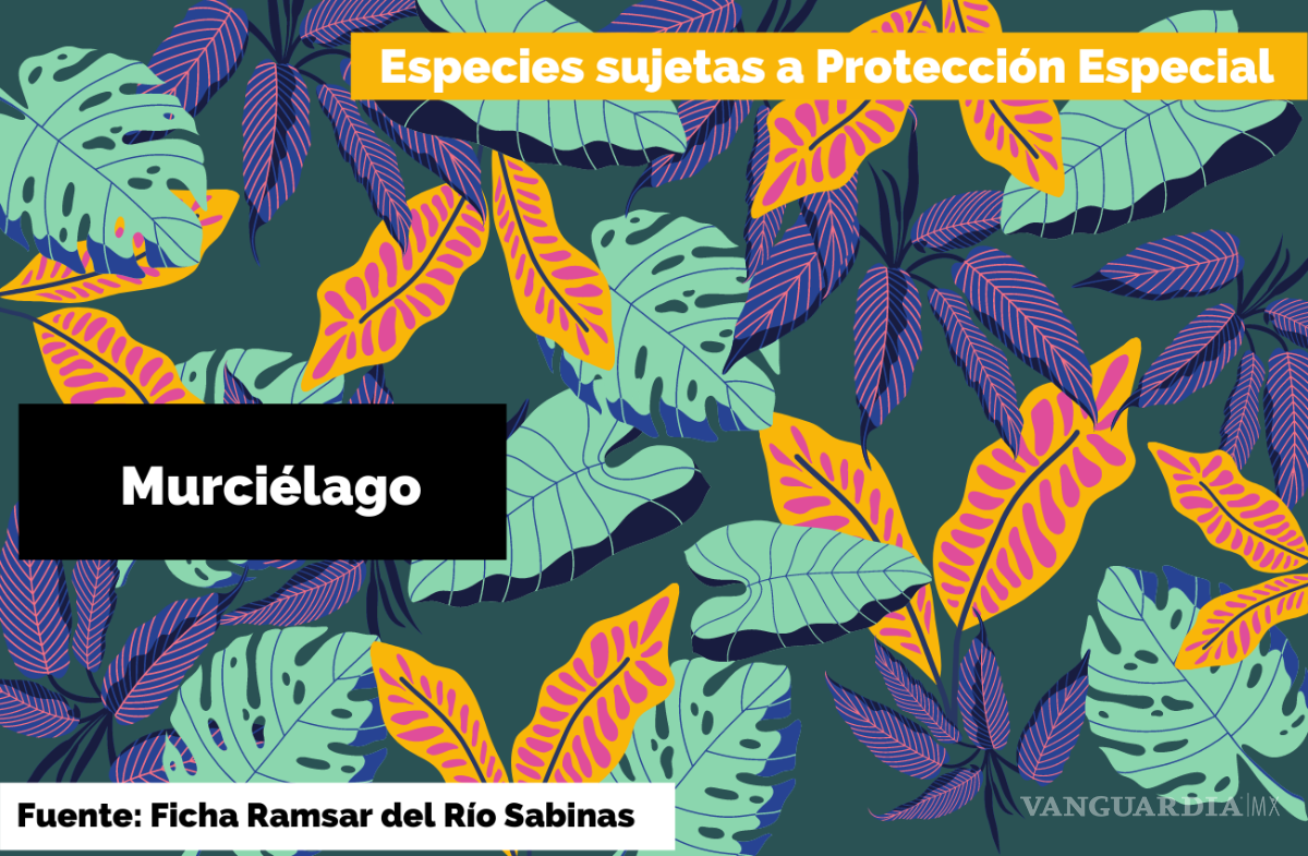 $!Agoniza el Río Sabinas