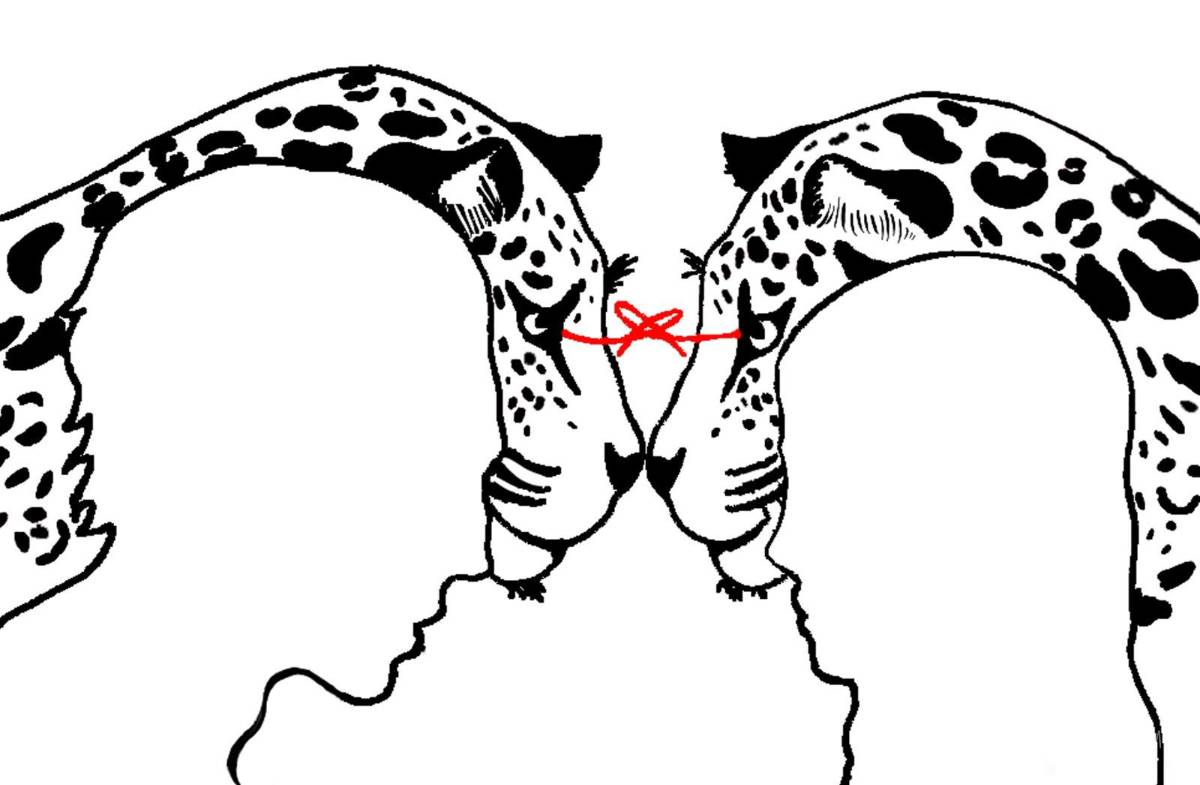 $!El latido del tecuán