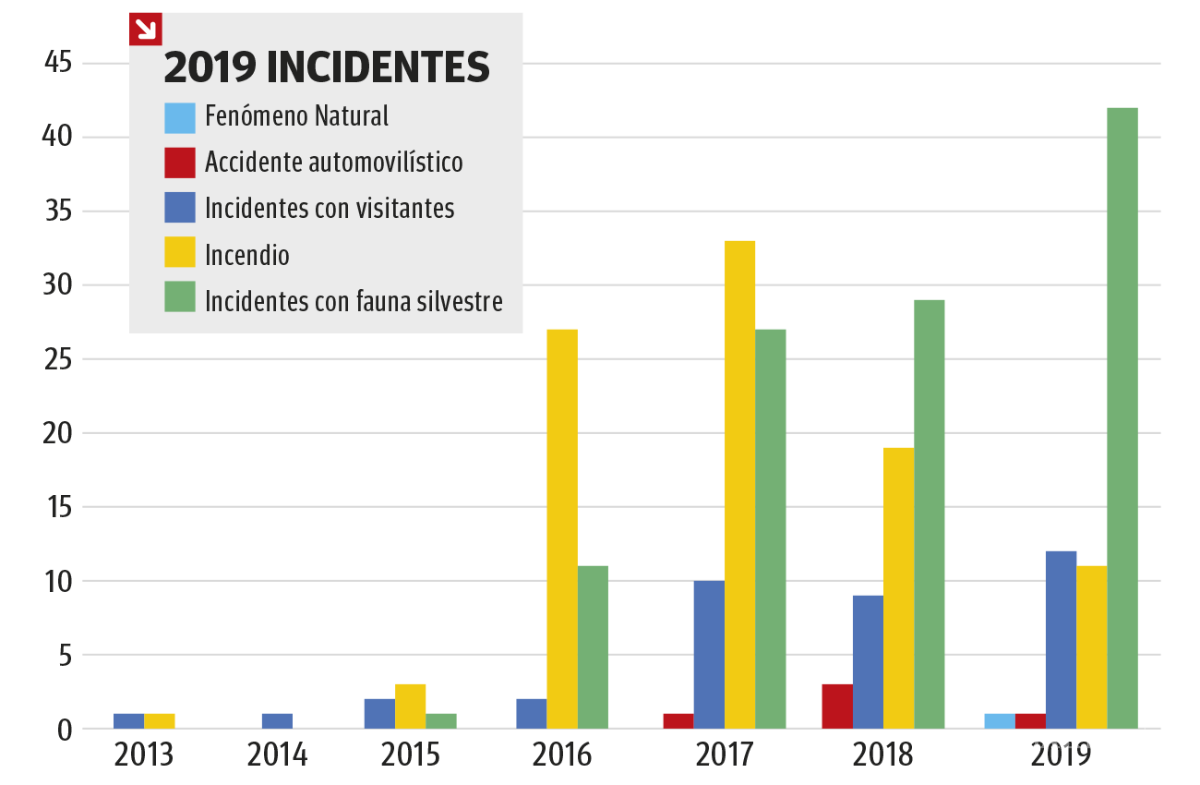 $!Los osos llegaron primero y nosotros los invadimos