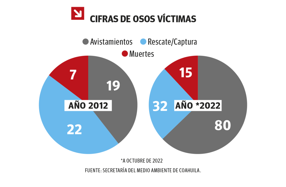 $!Los osos llegaron primero y nosotros los invadimos