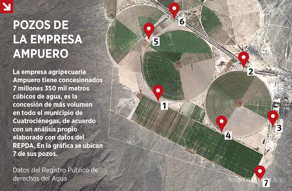 $!Crisis por el agua no da tregua: a Cuatrociénegas lo seca el cultivo de alfalfa