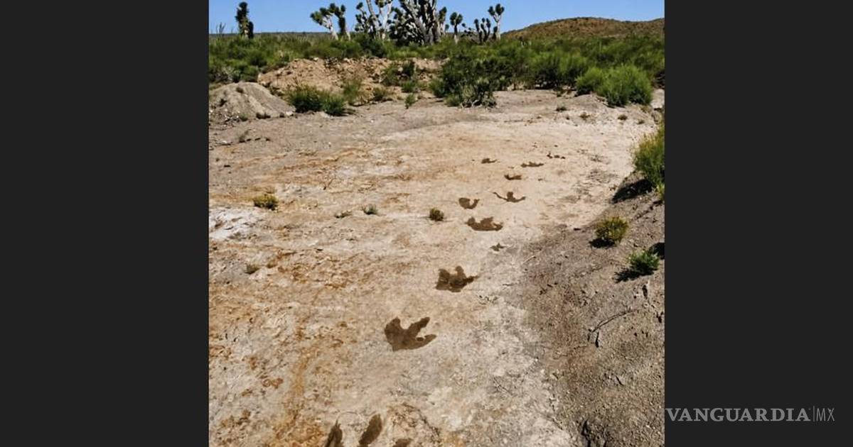 Las Águilas: el rincón de Coahuila donde los dinosaurios dejaron sus huellas