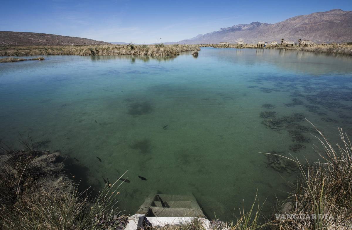 $!Cuatro Ciénegas tiene una rica biodiversidad que es amenazada por la explotación de sus acuíferos para alimentar el ganado lechero de La Laguna.