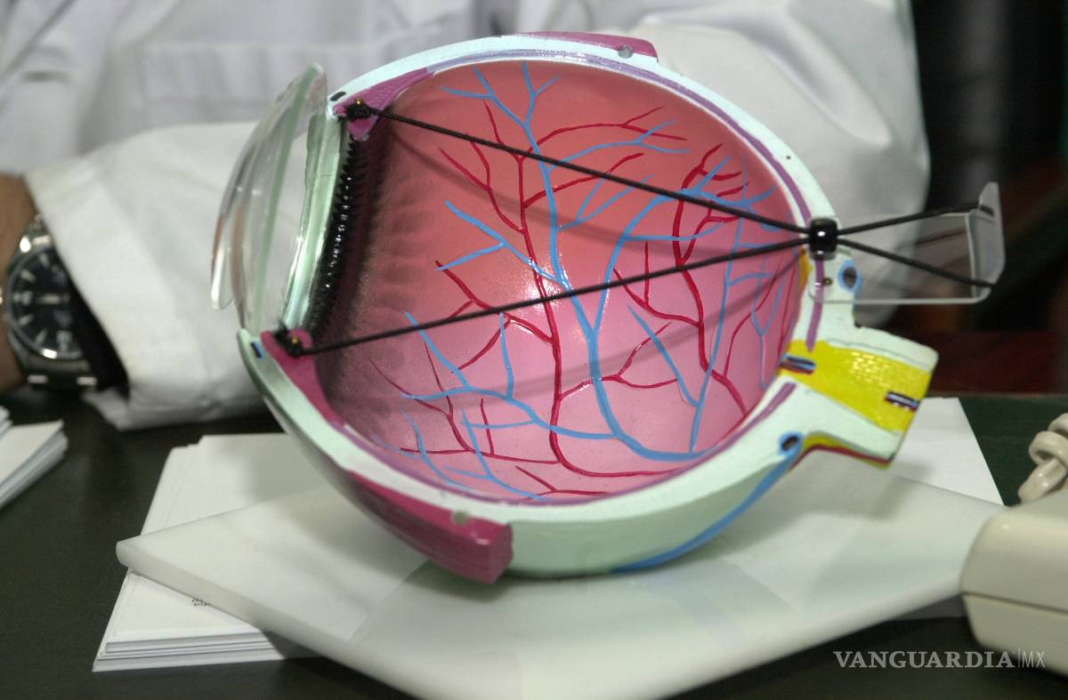 $!Degeneración macular, el camino hacia las sombras