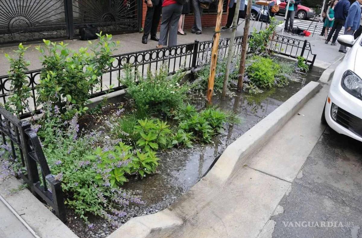 $!Los jardines de lluvia funcionan como sistemas de captación, filtración y almacenamiento pluvial.