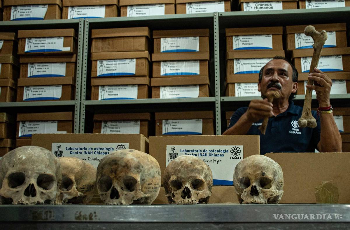 $!Javier Montes de Paz, investigador del Centro del Instituto Nacional de Antropología e Historia (INAH) en Chiapas.
