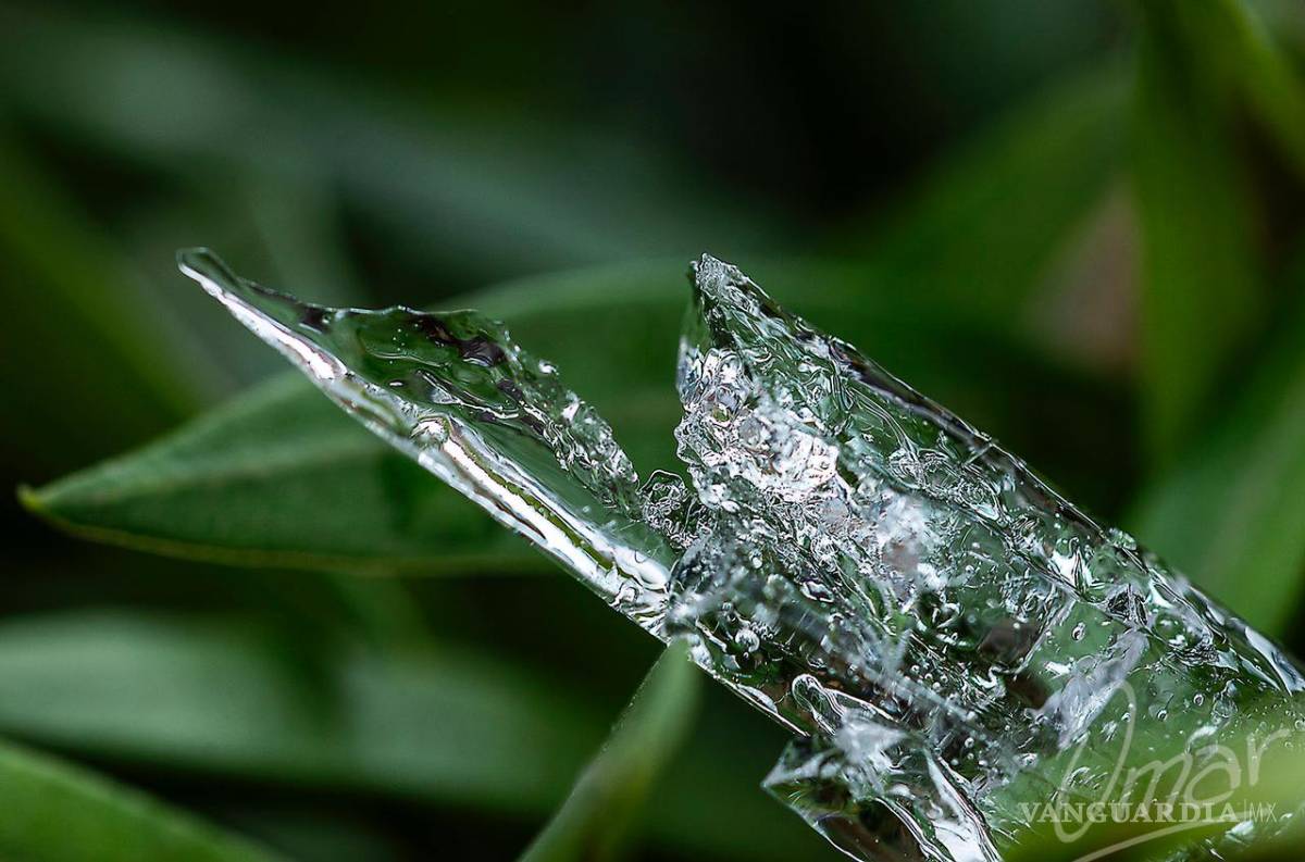 $!Un ojo diferente para ver la nevada en Monterrey