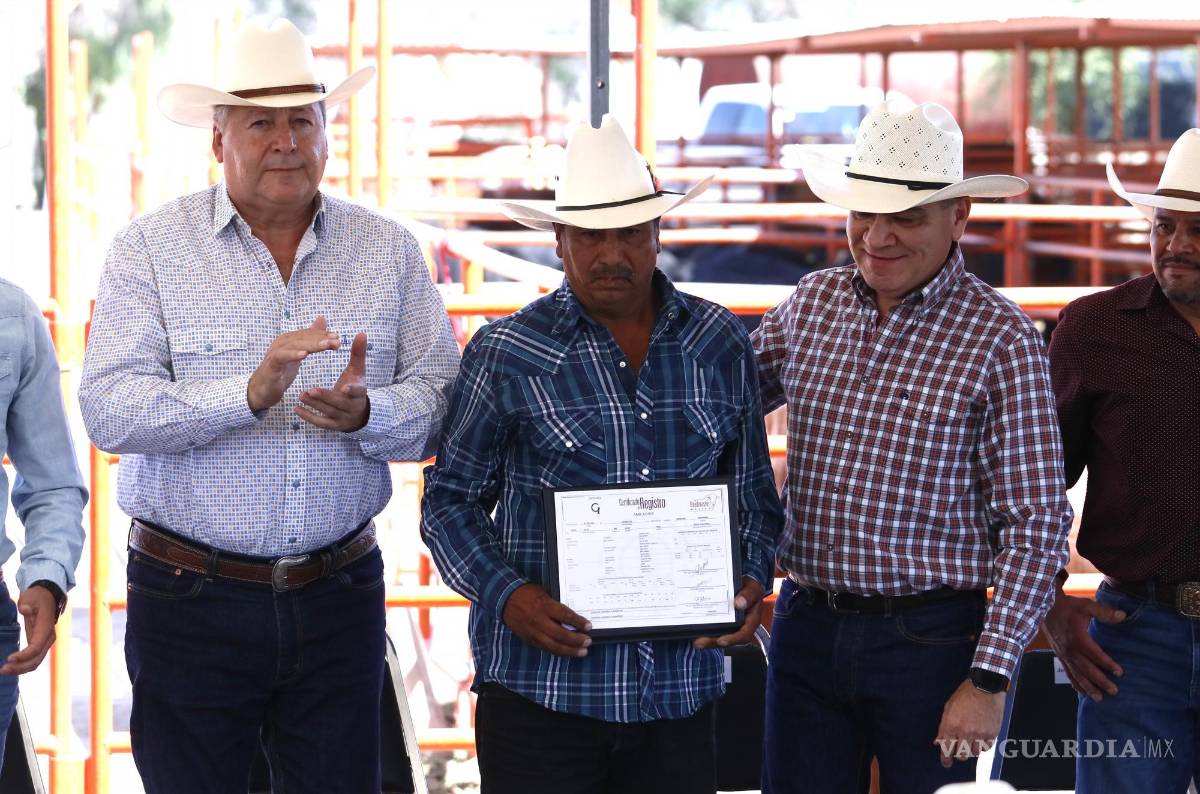 $!El día de ayer se llevó a cabo la entrega de sementales para mejorar la calidad genética del ganado de la región.