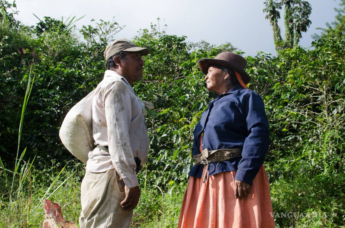 $!Asegura activista que países consumidores de café "perpetúan pobreza”