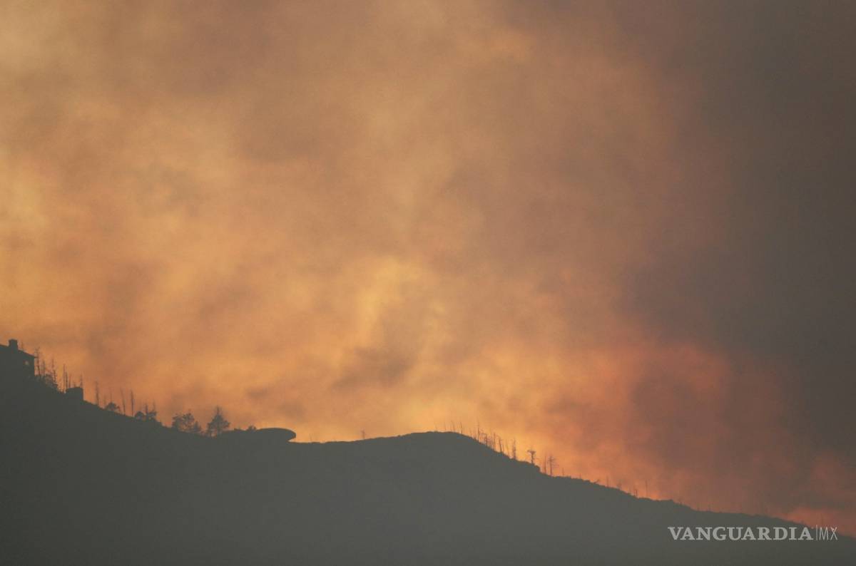 $!Arrasa fuego con 2 mil hectáreas de flora y zonas de cabañas en Arteaga
