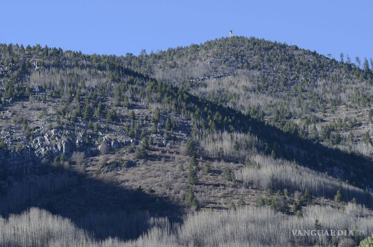 $!Nieve brilla por su ausencia en Arteaga