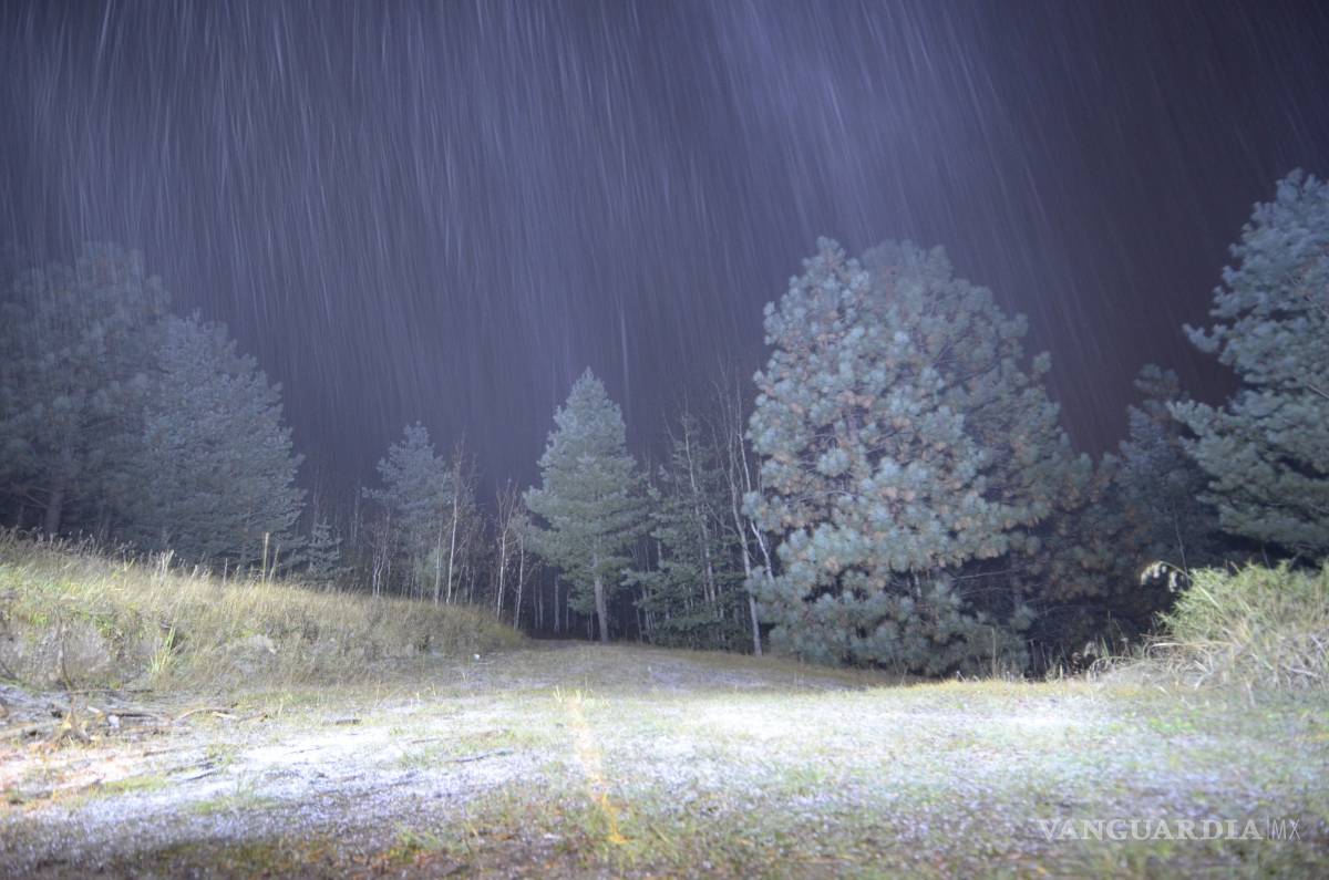 $!Nevada en Saltillo; por seguridad cierran puentes