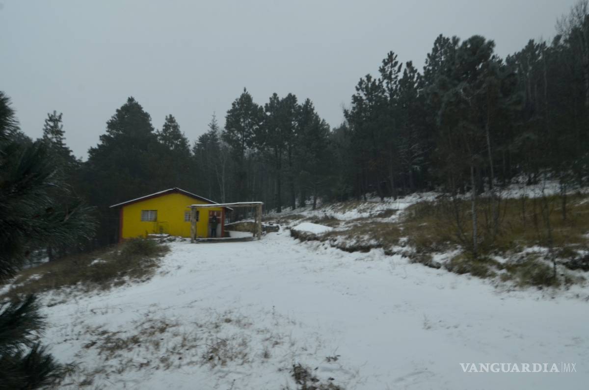 $!Así amanece la sierra de Arteaga, Coahuila, tras intensa nevada (Fotos)