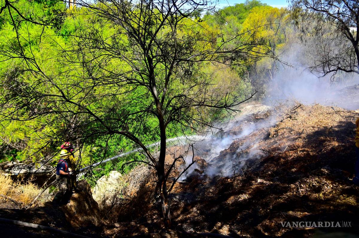 $!Controlan Bomberos incendio en arroyo de Ceballos, en Bosque Urbano de Saltillo