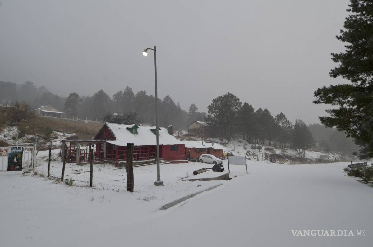 $!Así amanece la sierra de Arteaga, Coahuila, tras intensa nevada (Fotos)