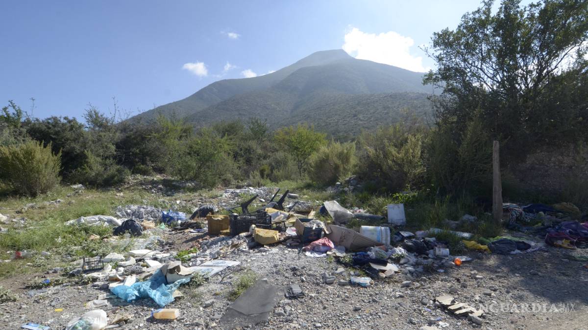 Limpian su sierra los saltillenses