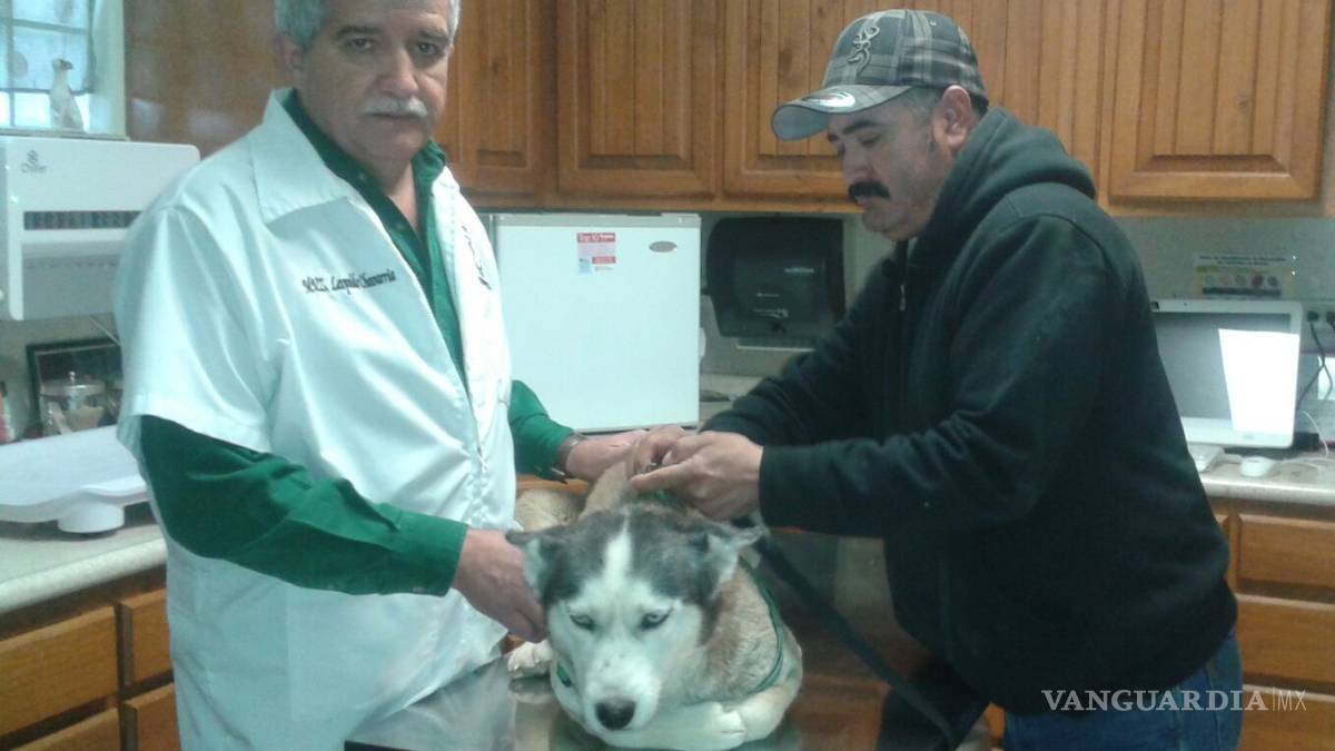 Padecen mascotas "Moquillo" y "Parvovirus" por bajas temperaturas