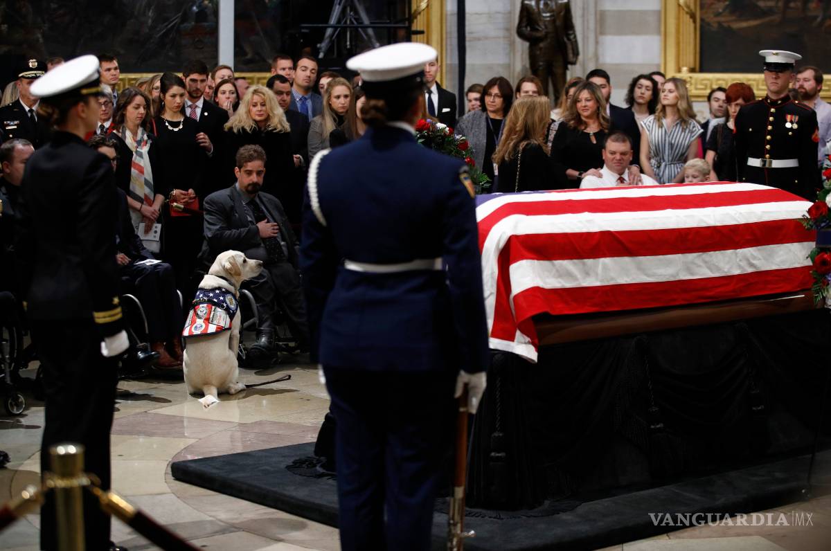 $!Sully, el perro del expresidente George H. W. Bush se despide de su amo (Fotogalería)