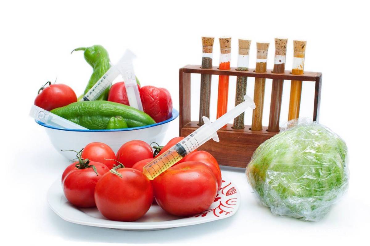 $!Transgénicos, del laboratorio al plato