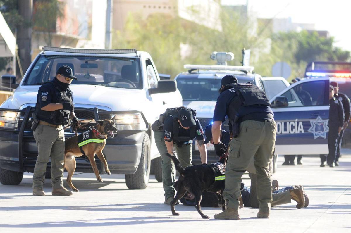 $!Binomios caninos realizaron ejercicios de obediencia y búsqueda.