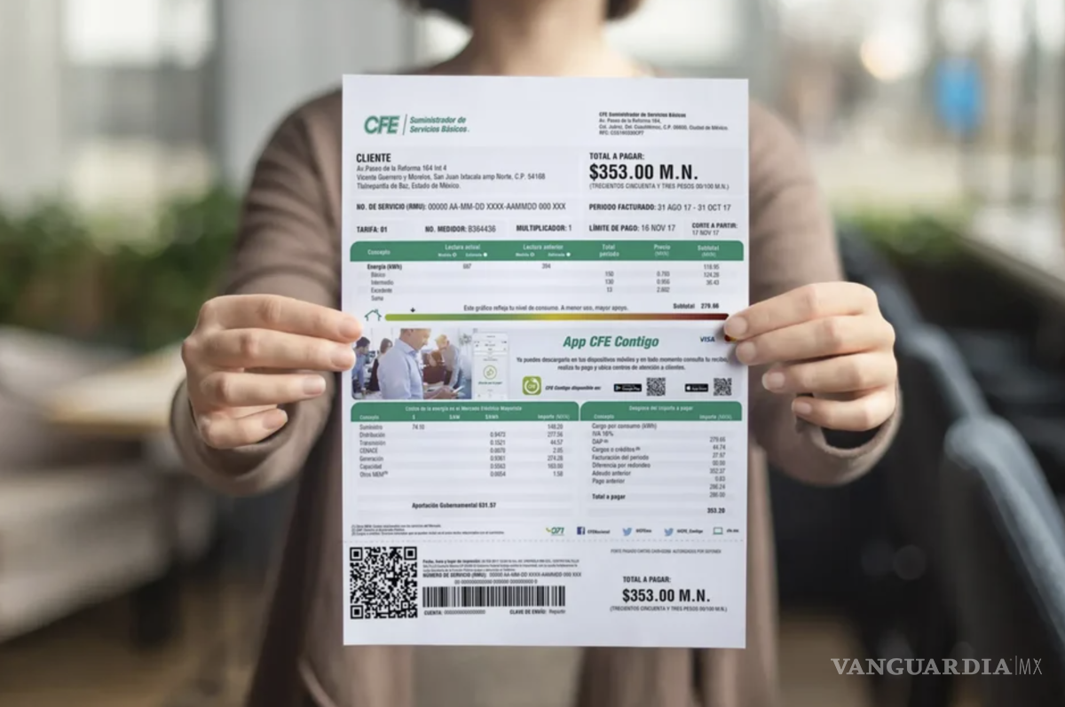 $!La CFE no cuenta con tarifas reducidas específicas para grupos vulnerables como ocurre con otros servicios o programas sociales.